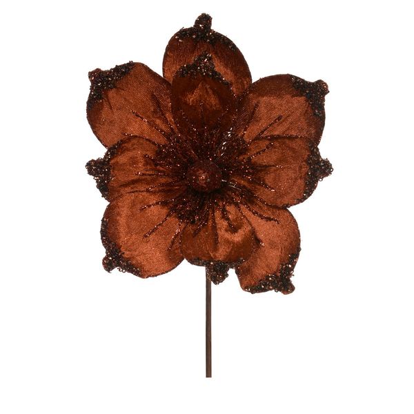 H.BICO DE PAPAGAIO (MARROM) 21cm