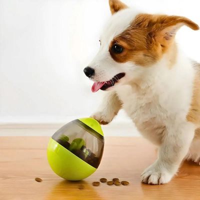 Brinquedo Interativo Cães E Gatos Dispenser Ração