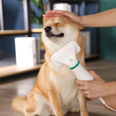 Escova Secadora De Pelos Para Pet Cachorro Gat