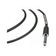 Cabo P10 X Xlr Fêmea 6,10m Ninja Hg B Santo Angelo