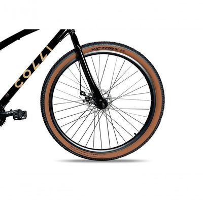 Bicicleta Aro 29 Vancouver 21 Marchas Freio A Disco Colli