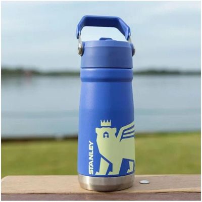 Garrafa Térmica Stanley Flip Straw Kids Infantil Youth 500ml Iris