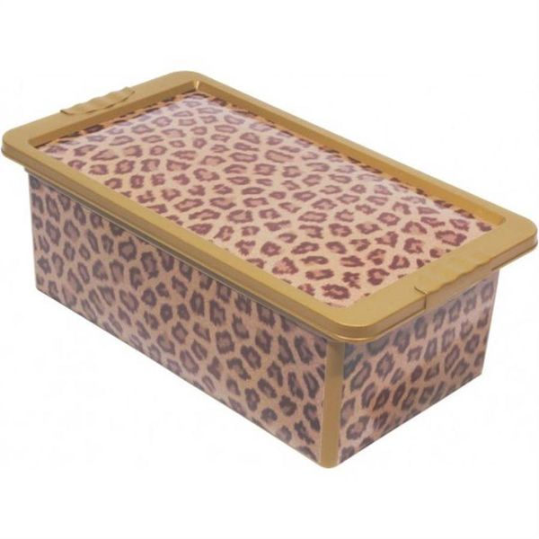 17597779277503 17597779277503