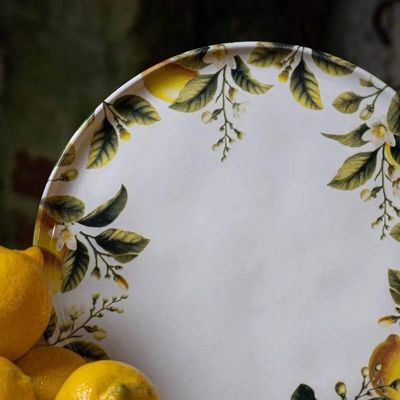 Jogo 6 Pratos Rasos Bio Limonata 27,5cm Cerâmica Porto Brasil Mesa Jantar