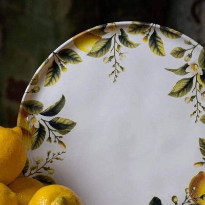 Jogo 12 Pratos Rasos Bio Limonata 27,5cm Cerâmica Porto Brasil Decorado Mesa Posta