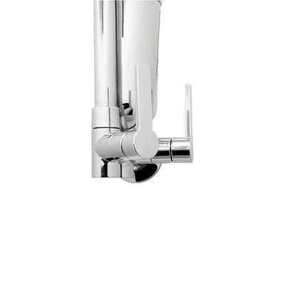 Torneira Cozinha Filtro Purificante Parede Bica Móvel Alavanca Cromado Abs Luxo