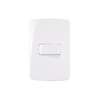 Interruptor Simples Margirius B3 10a Com Placa 4x2 Branco Branco