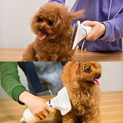Secador 2 Em 1 Elétrico Removedor De Pelos Para Pets