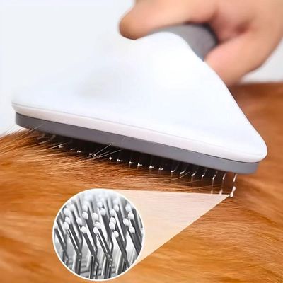 Secador 2 Em 1 Elétrico Removedor De Pelos Para Pets