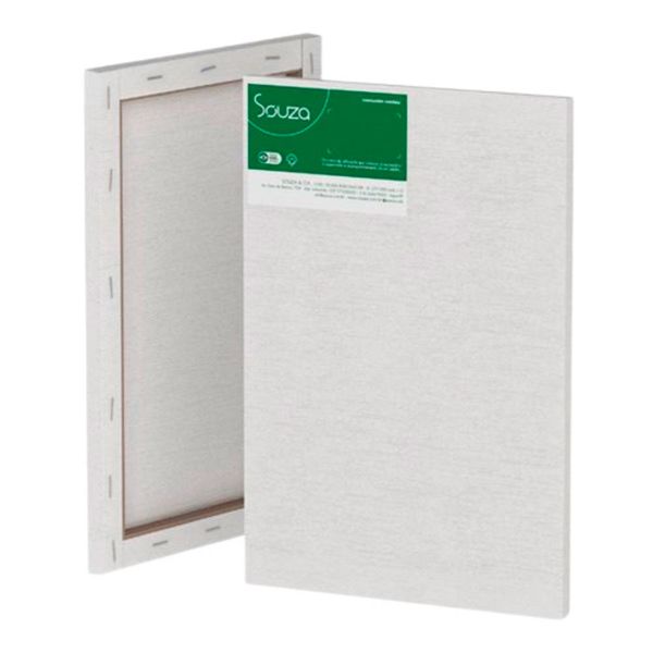 Tela de Pintura Escolar  24x30 8360 - Souza