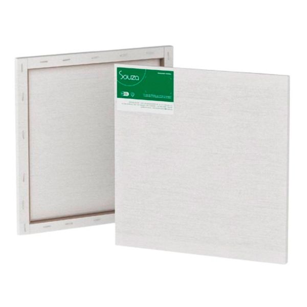 Tela de Pintura Escolar  30x30 8305 - Souza