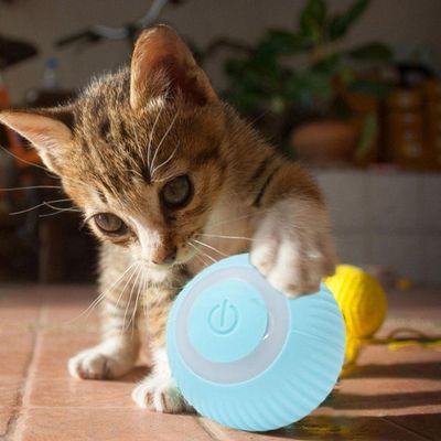 Bola Elétrica Inteligente Mágica Para Animais De Estimação Cães E Gatos Brinquedos Interativos Movimento Automático Usb