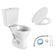 Kit Bacia Com Caixa Acoplada Sabará Com Assento + Kit Para Instalação Branco - Cbsra00 - Icasa