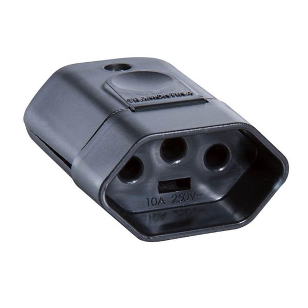 17598717469762 17598717469762