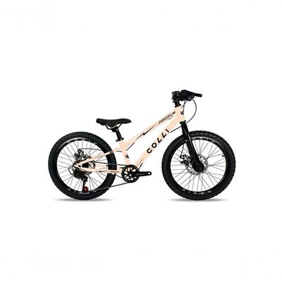Bicicleta Colli Airon Aro 20 Freio A Disco Laranja