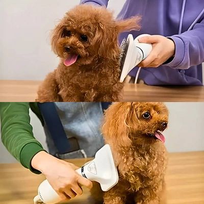 Secador 2 em 1 Elétrico Removedor de Pelos Para Pets 110v