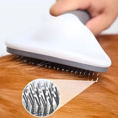 Secador 2 em 1 Elétrico Removedor de Pelos Para Pets 110v