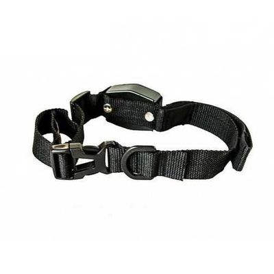 Guia Coleira Magnetica Cachorro 2 Em 1 Retratil Alca Caes Gatos Treinamento Adestramento Lucky Leash