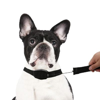 Guia Coleira Magnetica Cachorro 2 Em 1 Retratil Alca Caes Gatos Treinamento Adestramento Lucky Leash