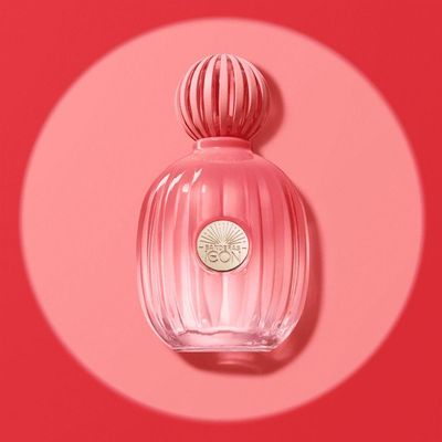 Banderas The Icon Splendid Eau De Parfum - Perfume Feminino 50ml