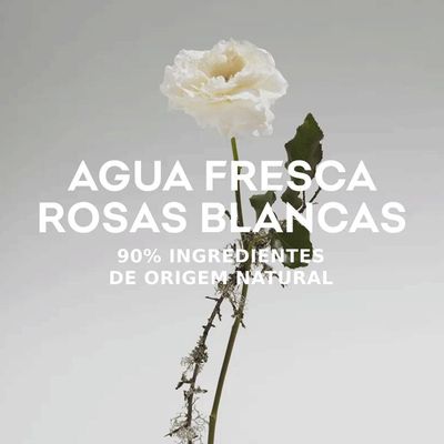 Adolfo Dominguez Rosas Blancas Eau De Toilette - Perfume Feminino 120ml