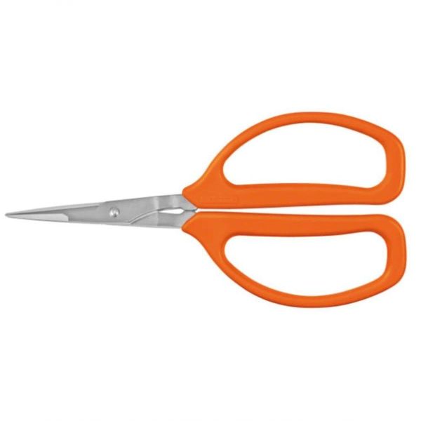 17577103241505 17577103241505