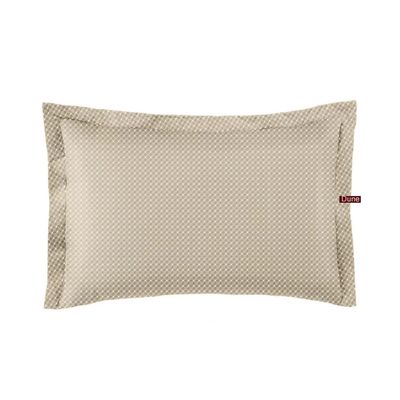 Fronha Avulsa Poliester Toque Acetinado 50x90cm Altenburg Slim Organic