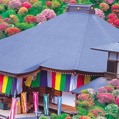 Quebra-Cabeça - Primavera no Japão - 260 peças - NIG