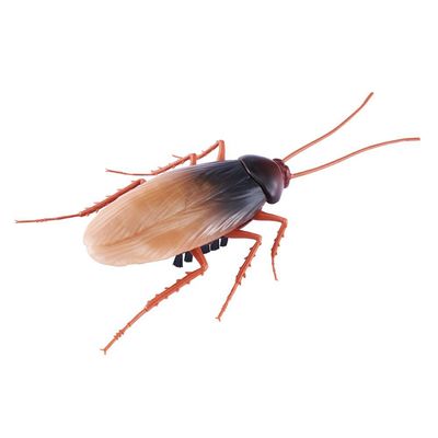 Kit Robo Alive Barata (1114) + Aranha (1115)