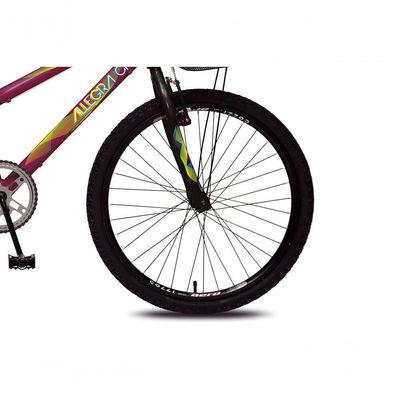 Bicicleta Allegra City Aro 24 Sem Marchas Freios V-brake E Cestão Colli Roxo