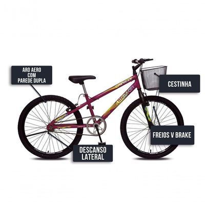 Bicicleta Allegra City Aro 24 Sem Marchas Freios V-brake E Cestão Colli Roxo