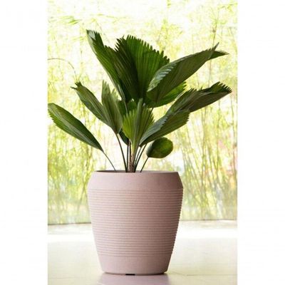 Vaso Tramontina Egípcio Granito Areia 29cm