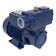 Motobomba Periférica Autoaspirante 1-2hp 60hz Bivolt Ica-50ab Eletroplas