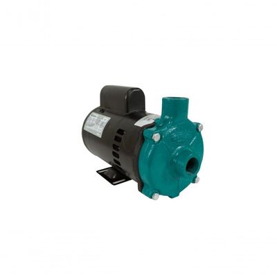 Motobomba Standard 1-3cv 60Hz 110- Ecs-33me Eletroplas 220V