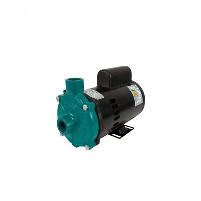 Motobomba Standard 1-3cv 60Hz 110- Ecs-33me Eletroplas 220V