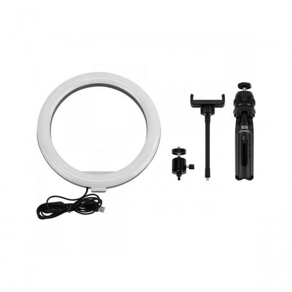 17563099786697 17563099786697