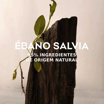 Adolfo Dominguez Ebano Salvia Eau De Parfum - Perfume Masculino 120ml