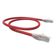 Patch Cord U-utp Cat.6 Cmx T568a-b 0.5 Metro Vermelho 35123007