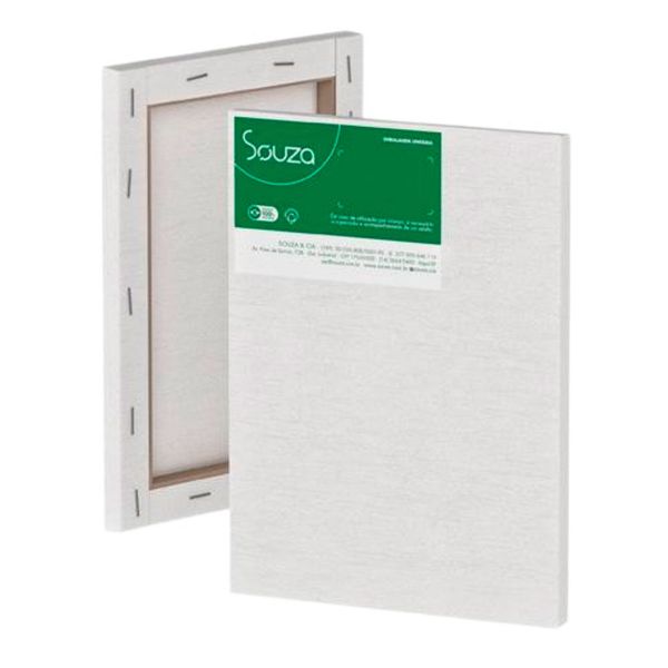 Tela de Pintura 16x22 8301 - Souza