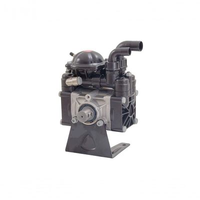 Bomba Ar-70 61 Litros-min 2,9hp 20bar 290psi 550rpm
