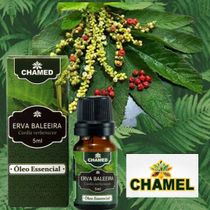 Óleo Essencial Erva Baleeira 2 Frascos 5ml Chamed 100% Puro