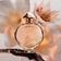 Paco Rabanne Olympéa Eau De Parfum - Perfume Feminino 30ml