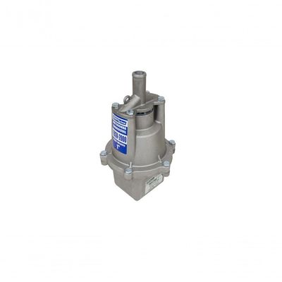 Motobomba Submersa Tipo Sapo 430W Ebsv-2000 Eletroplas 110V