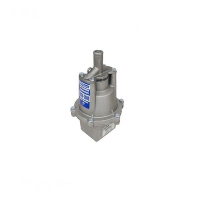 Motobomba Submersa Tipo Sapo 430W Ebsv-2000 Eletroplas 110V