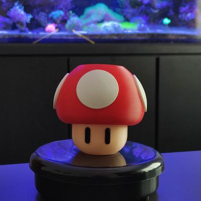 Cogumelo Porta Objeto Super Mario Bros Toad 3D