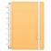 CADERNO A5 LARANJA PASTEL CADERNO INTELIGENTE