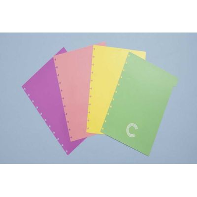 DIVISORIA GRANDE PASTEL CADERNO INTELIGENTE