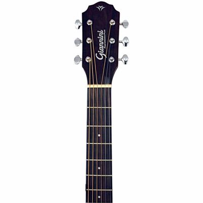 Violão Aço Eletroacústico Giannini Performance Plus Gad Plus Eq Ng