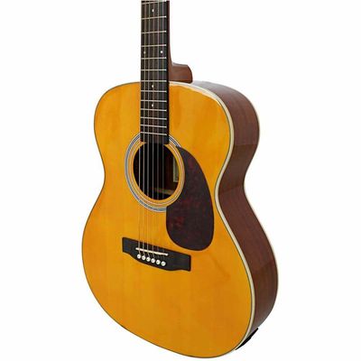 Violão Aço Eletroacústico Giannini Performance Plus Gad Plus Eq Ng