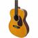 Violão Aço Eletroacústico Giannini Performance Plus Gad Plus Eq Ng